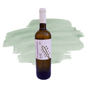 thrapsathiri aggelakis